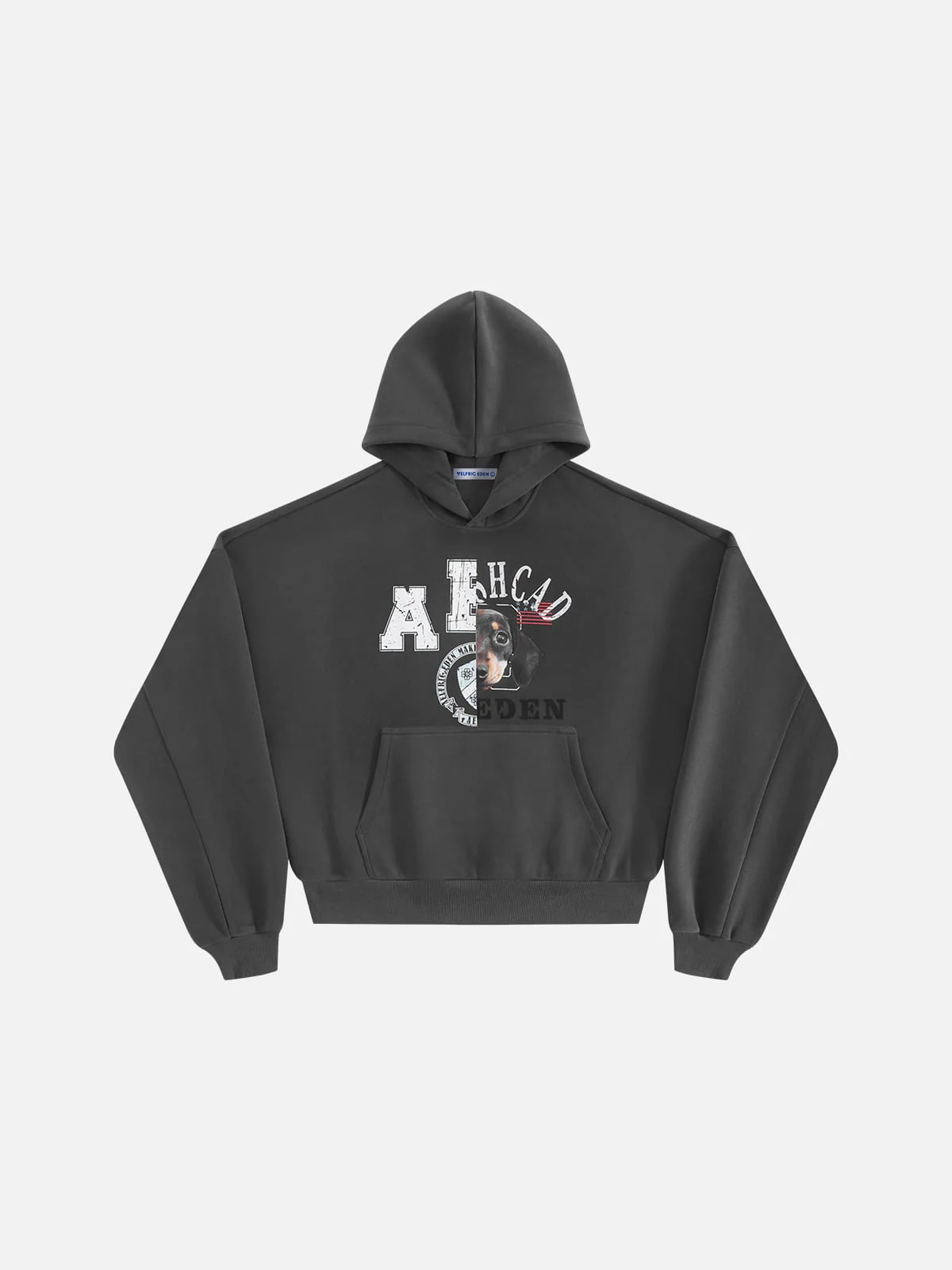 Aelfric Eden Boxy Graphic Pullover Hoodie