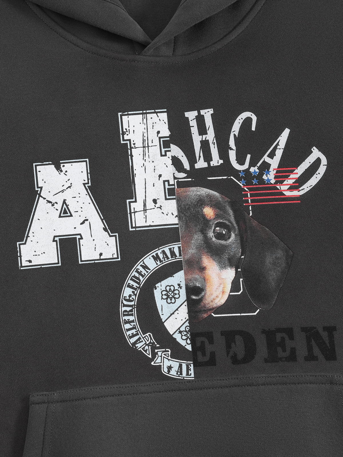 Aelfric Eden Boxy Graphic Pullover Hoodie - Image 5