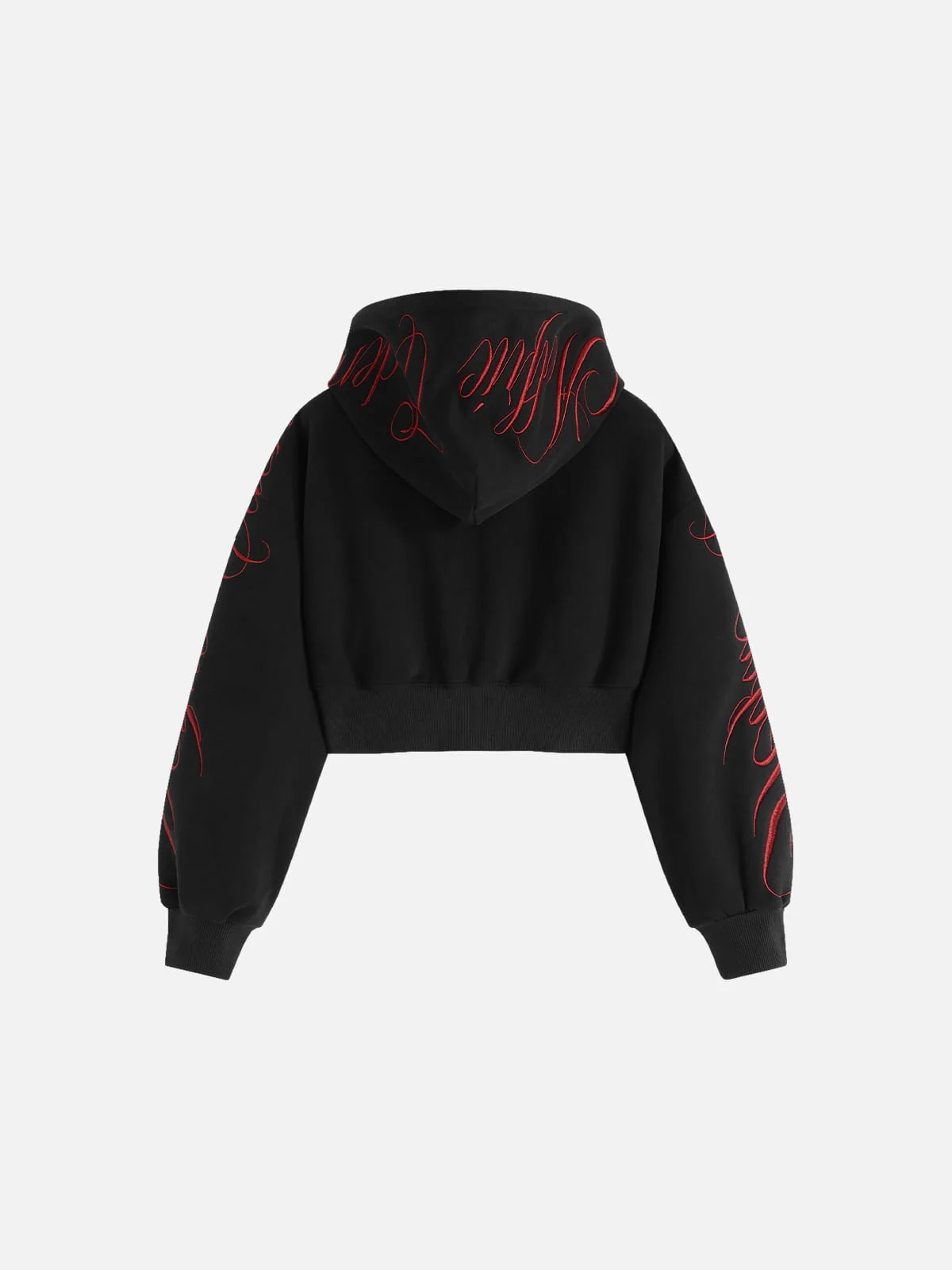 Aelfric Eden Cropped Script Embroidery Zip Up Hoodie - Image 2