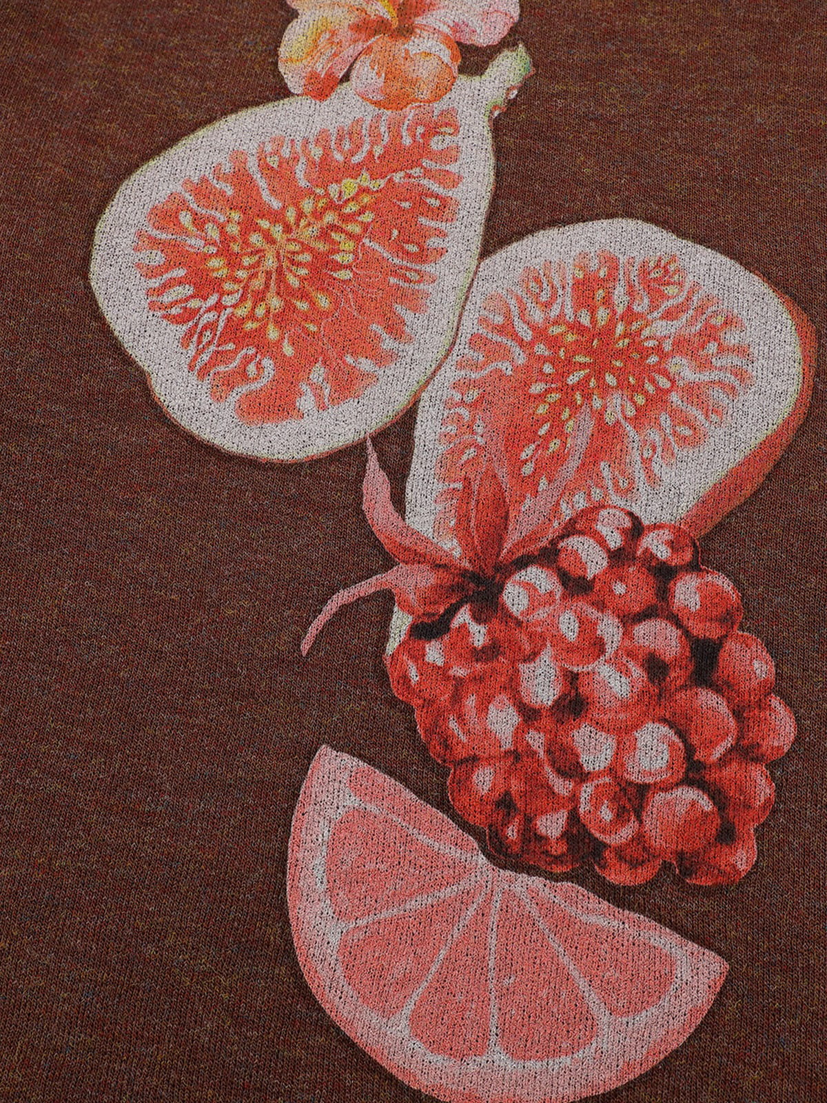 Aelfric Eden Fruit Graphic Sweatshirt - Image 4